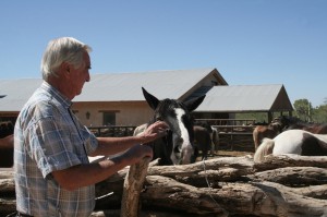 Tanque Verde Ranch