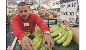 Alternative food stores sprout across the Valley 