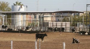 2 tales of annexation show unfairness 