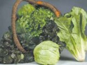 Lettuce is the main course at Yuma celebration 
