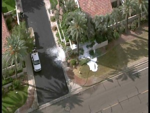 Woman sent to Chandler hospital after Ahwatukee bee attack