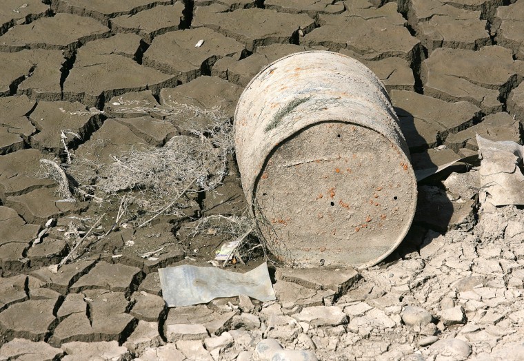 Tempe Town Lake cleanup