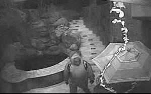 Burglary suspect