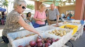 Valley farmers markets are flourishing 