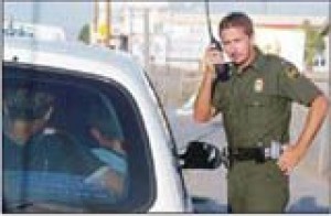 Illegal entry tops crime list 