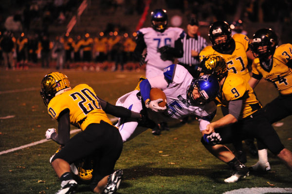 028SulWesFB13.jpg