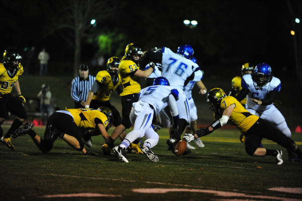 031SulWesFB13.jpg