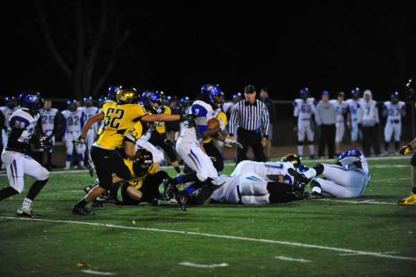 038SulWesFB13.jpg