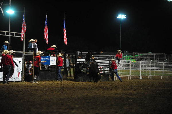 043FairBullRiding13.jpg
