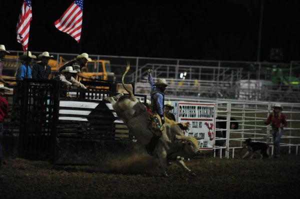 011FairBullRiding13.jpg