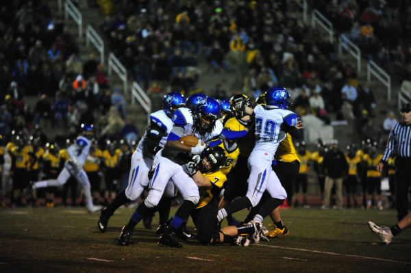 037SulWesFB13.jpg