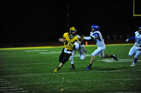 008SulWesFB13.jpg
