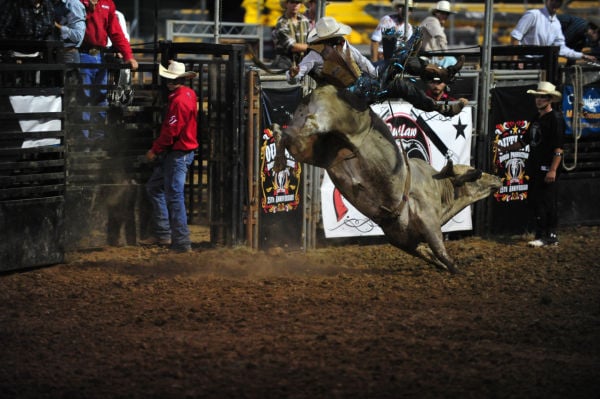 028FairBullRiding13.jpg