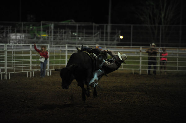 065FairBullRiding13.jpg