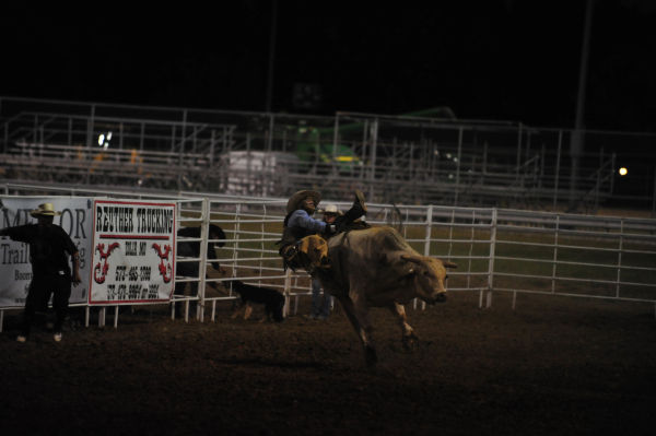003FairBullRiding13.jpg