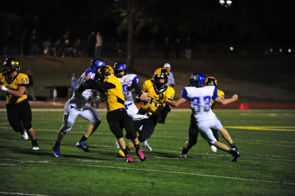 011SulWesFB13.jpg