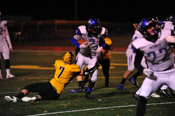 036SulWesFB13.jpg