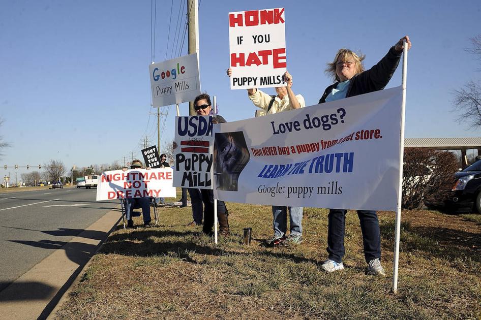 animal rights advocates protest spotsylvania pet store animal rights advocates protest spotsylvania pet store