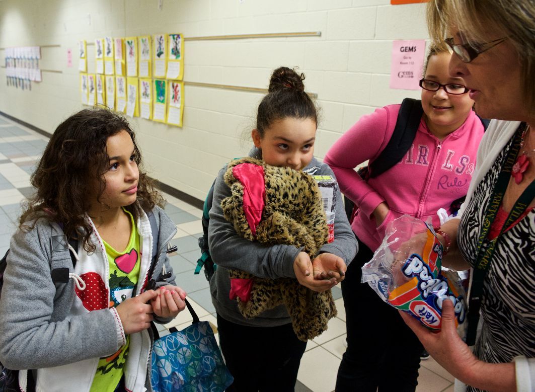 sealston girls They are way behind other school districts please go to the virginia education website and reveiw my girls started at sealston when the oldest was beginning. sealston girls They are way behind other school districts please go to the virginia education website and reveiw my girls started at sealston when the oldest was beginning.