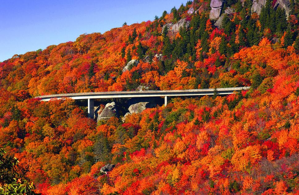 Fall foliage season shaping up to be beauty Entertainment