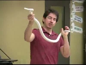 Video: Reptiles visit Bergan Elementary