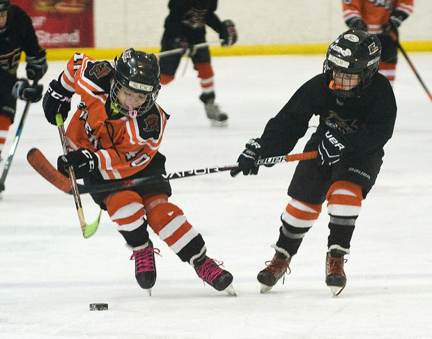 Squirt Hockey, Fremont Flyers, 3.8.15 | Homepage | fremonttribune.com