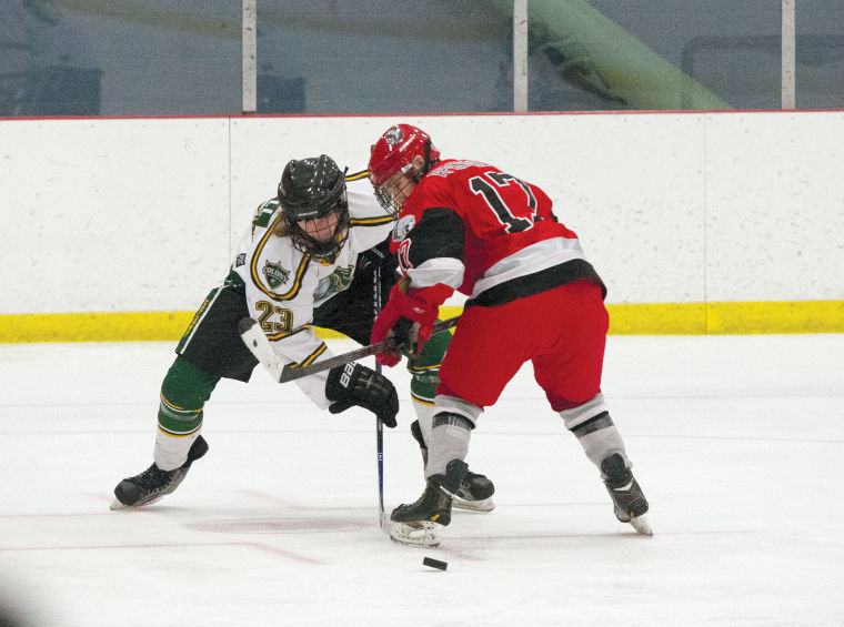 Schedule set for North Star Conference hockey tourney | Local Sports News | www.bagsaleusa.com