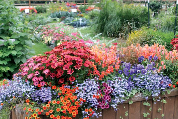 Image Result For Home And Garden Faira Image Result For Home And Garden Faira