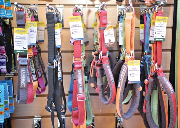 pet store lines shelves with local goods local pet store lines shelves with local goods local
