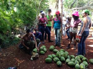 Cuban aid caravan sees different experience