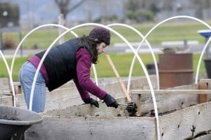 Photo from Corvallis GT article on the CCE MLK Jr Service Day projects