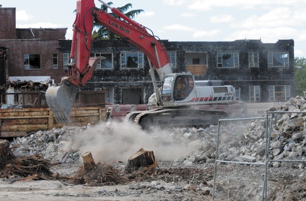 Beavers Systems Model