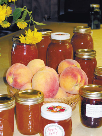 Preserving Summer S Bounty