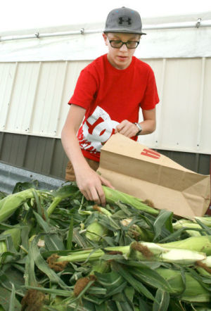 Golden news: It's sweet corn time