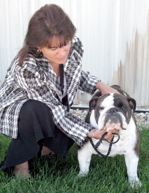 Casino dog show
