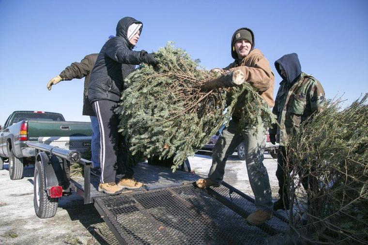 oh christmas trees chicago christmas tree pickup