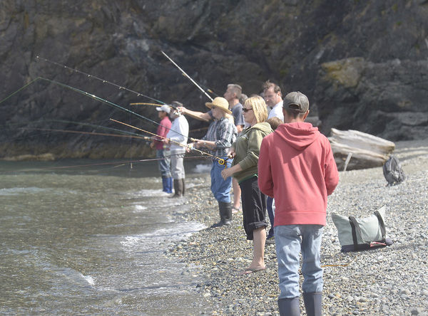 You won't find a better image of ticket for salmon