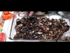 Roadkill cuisine