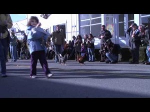 'Keep Your Chicken In Line Parade,' Edison, WA
