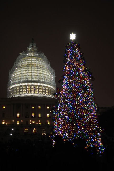capital christmas tree ceremonies in washington d c capital christmas tree ceremonies in washington d c