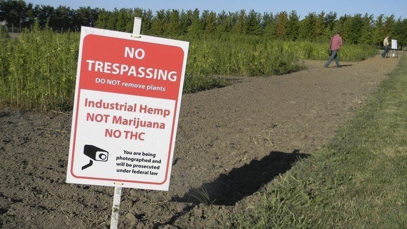 Seed bill inches state closer to hemp production