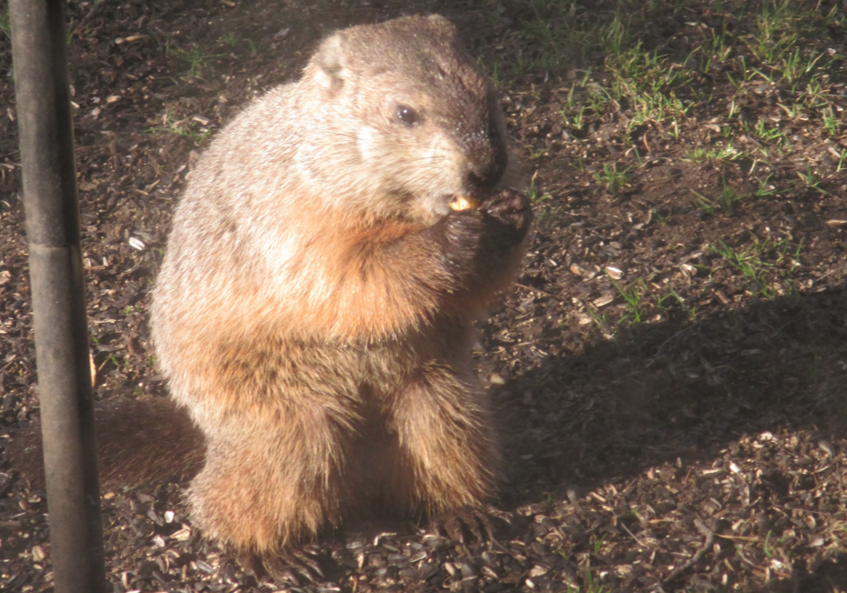 Reach, Readership, Response