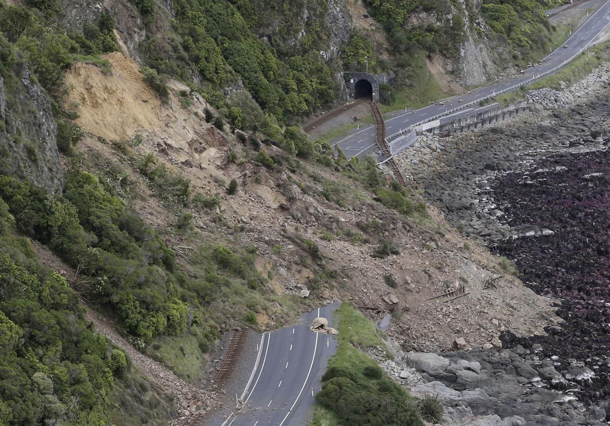 Photos Cows, tourists stranded after New Zealand earthquake World