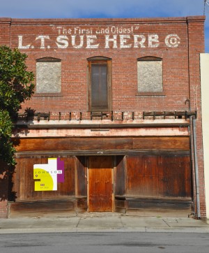 LT Sue Building