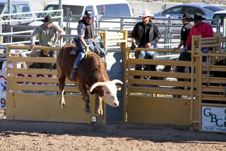 Photo gallery Reader photos from the 2015 Lake Havasu City rodeo