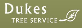 Duke's Tree Service