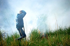 Gallery: Out of control ditch fires near Lincoln Road