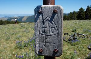 Forest Service completes travel planning for Lincoln area