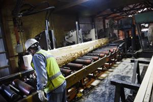 Marks Lumber receives wood innovations grant to continue track record of diversification