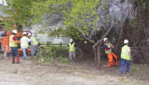 Community briefs published Friday, Feb. 10